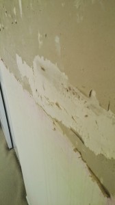 Wall Repair  